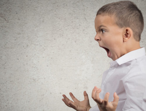 What the Duck Are You Doing? It’s an Open Question!